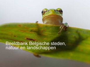 <p>Belgische steden, landschappen, natuur, Vlaanderen, Vlaamse, beelden, foto's, Walloni&euml;, landschapsfotografie, workshops, beeldbank, kastelen, monumenten, toerisme</p>